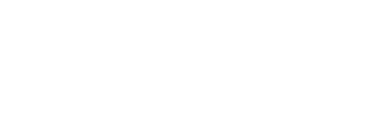 MINI WALLET/ミニウォレット