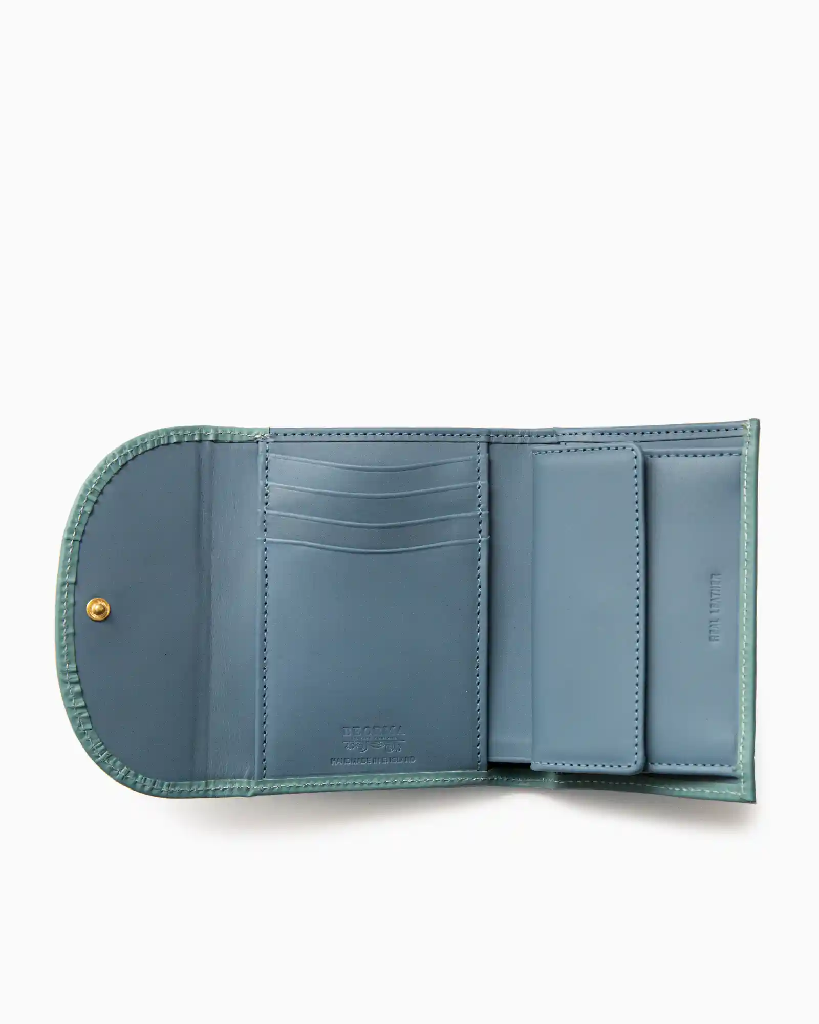 LIGHT GREEN_LIGHT BLUE